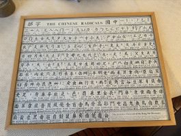 Affiche encadrée « the Chinese radicals »